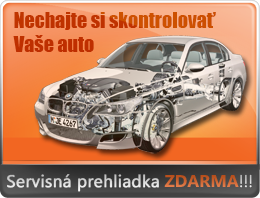 servisna prehliadka